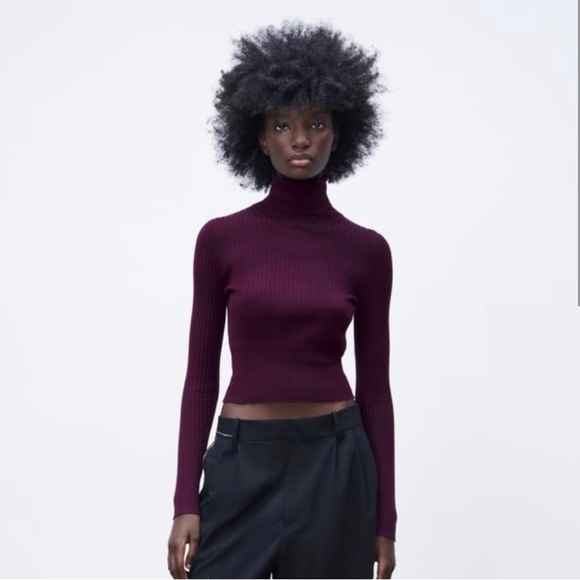 Zara Turtleneck - Picture 1 of 4